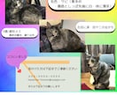 迷子猫探し用のデザインを制作します ポスターやSNS、ブログ掲載用画像など。コピー・文章にも対応 イメージ2