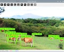 YOLOによるリアルタイム物体検出器ができます 最新のYOLOを使いラズパイで物体検出ができます。 イメージ4