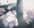 心がバテた時にプロが心のモヤモヤに寄り添います ✦秘密厳守✦張り詰めた心の糸をのんびり解きほぐします イメージ9