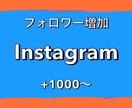 Instagram！フォロワー1000人増やします 1500円で1000人！30日保証！ イメージ1