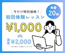 英語レッスン経験1000回のプロが発音を指導します 【アメリカ発音】先着20枠限定の特別価格でご案内中 イメージ2