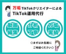 万垢運用者がTikTokの運用代行を承ります 複数ジャンルで万垢を育てたTikTokクリエイターがサポート イメージ1