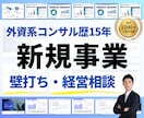 壁打ち◢◤新規事業・スタートアップに助言します 【無料相談】外資系コンサル歴15年・支援実績1500件の経験 イメージ1