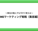 SNSマーケティングの集客戦略を丸分かりにします 無名の個人でも今すぐ使えるSNSマーケティング戦略（集客編） イメージ1