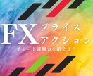 あなたのチャートをプライスアクションで分析します インジケーターに頼らないでチャート読解力を鍛えよう イメージ1