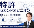 特許のセカンドオピニオンを弁理士が提供します AI・量子・暗号・IT発明を25年以上の実務経験から再検証 イメージ1