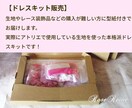 初心者編フェアリードールドレスコース公開します 憧れのドールドレス作り＆販売、気軽に始めてみませんか？ イメージ8