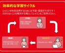 英検準1級の元英語塾講師が合格まで導きます 英検の出題傾向を把握し、苦手をひとつひとつ克服！ イメージ4