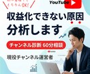 YouTube収益化への、改善点を一緒に分析します 【60分】お悩み相談＆現役の動画投稿者のアドバイスでサポート イメージ1