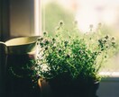 リアルタイムで20分、生命エネルギーをお送りします ヒーリングで体と心を癒し、健やかで穏やかな状態に導きます イメージ3