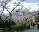 動画撮影&編集難しいですよね?お任せ下さいやります あなたの伝えたい世界観、商品サービス動画にして共感しもらおう イメージ1