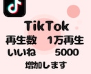 TikTok再生数1万･いいね5000増加します あなたのアカウント信頼度高めませんか？ イメージ1
