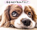 ホロスコープ鑑定！1年間の運勢をタロットで告げます 即納★50%off！今後12ヶ月間の流れを予知宣告いたします イメージ1
