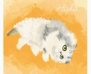 ペットの絵を書きます 部屋に飾りたくなるようなペットの絵を描きます イメージ1