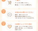 猫との暮らしの悩み聞きます 初めての猫暮らしの不安に寄り添います。 イメージ3