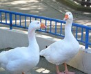 話し相手がいない方でもなんでも聞いてます 5分でもOK！スッキリするまで話しましょ！！ イメージ1