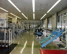 理想の体型になるためのヒント、トレーニング教えます まず何をすればいいか迷っている方必見 イメージ1