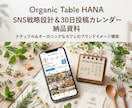 SNS戦略設計＆30日カレンダーを作成します 競合分析→30日設計→月次改善まで イメージ1