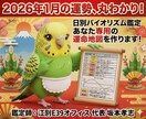 AI×四柱推命2026年1月バイオリズム鑑定します 幸運日や警戒日が一目瞭然！あなたへ日別アドバイスを届けます イメージ1