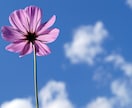 絶望的…辛くて死にたいと…大切な人に言われます 大切な人がこんな事を考えていてどうしたらいいのか分からない イメージ10