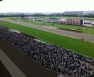 京都競馬　芝1200ｍの攻略法あります 5年間のデータを元に作りました。日頃の競馬で使って下さい。 イメージ1