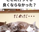つらい痛みの症状お聞きします 健康の専門家があなたの辛い悩みのお手伝いします。 イメージ2