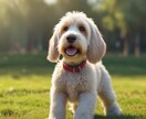 我が家のワンコメモ 病気や危険な物教えます 愛犬のための病気や身の回りにある危険な物など情報満載です。 イメージ3