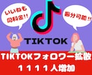 TikTokのフォロワー１１１１人以上に拡散します 【いいねも同価格】保証10日付！５０００人は８０００円 イメージ1