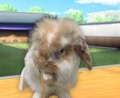 ペットが主役のデジタル絵本を作ります 飾れるQRコードも郵送。スマホでいつでも会える最高のギフトを イメージ4