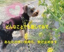 BPD、摂食障害、躁うつなどで辛い方のお話聞きます 誰にも話せない辛さを、同じ病気でも寛解している私が聞きます イメージ1