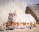 お友だち感覚で❣️気軽にお話し出来ます 堅苦しいのが苦手な方･*リラックスしてお話ししましょう✧₊ イメージ2