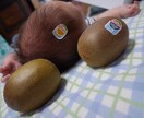 お子さんの寝付きが悪い時の寝かせかた教えます 子育てに悩む新米パパさんママさんへ イメージ1