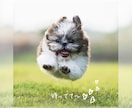 迷い/選択/気持ちの整理を10日間サポートします メッセージ5往復まで◆恋愛/転職/引越し/自分の本音幸せ探し イメージ5