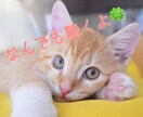 溜まった毒を吐き出すお手伝いをします あなたの不満や愚痴なんでもお聴かせください。 イメージ1