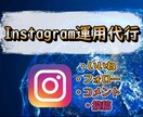 １週間Instagram運用代行します いいね周り、フォロー関連の代行等！個人情報絶対遵守！ イメージ1