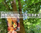 神樹鑑定・魂の目的 / 使命リーディングします なぜ私ばかり辛い目に？生きづらさの正体と魂が求める方向が判明 イメージ3