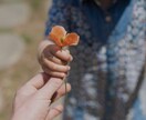 貴方専用「王様の耳はロバの耳」の『穴』になります 他言できないことをこの穴に向かって叫んじゃってください。 イメージ2