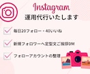 インスタのフォロワーアップ、代行します 手作業で質の高いファンを増やします。運営方法のアドバイス付き イメージ1