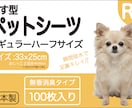 商品パッケージのデザインを制作します ご要望に沿ったデザインや色合いを作成します！ イメージ5