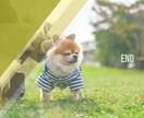 スマホ写真でフォトムービー制作します 写真10枚あればオリジナルなフォトムービー制作可能！ イメージ5
