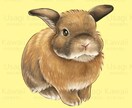 ペットさんの似顔絵をお描きします 大切なペットさんのお写真をもとに似顔絵をお描きいたします。 イメージ4