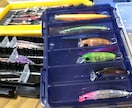 釣りに関するお話、お悩みお聞きします 【最長15日】実体験を基にお答えします！ イメージ5
