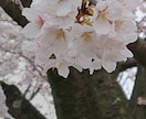 本日のモヤモヤ解消します あなたが明日もまた元気に歩いていけますようにお手伝いします！ イメージ1