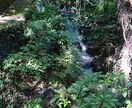 フリー素材提供します 海素材多め、風景など色々あります。 イメージ9