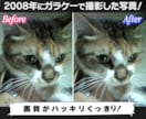 昔の写真が蘇る！？ボヤッとした写真を鮮明にします 写真によくあるザラザラノイズを除去します! イメージ6