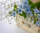 ただただ聞いて欲しい方聞きます 誰かに話したい！聞いて欲しい！と言う方何でも話して下さい＾＾ イメージ1