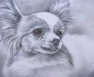ペットのお写真から油絵作品を制作します 細密描写によるリアルで可愛い作品をお届け イメージ6
