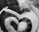 あなたの大好きなあの人とご縁を結びます 気になるあの人ともっと仲良く♥️ イメージ1