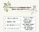 誕生日からわかる開運植物教えます 誕生日×風水で選ぶあなただけの開運観葉植物アドバイス イメージ2