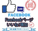 フェイスブックページ100いいねまで増やします 【保証付】Facebookページ/いいね！/世界中拡散 イメージ1